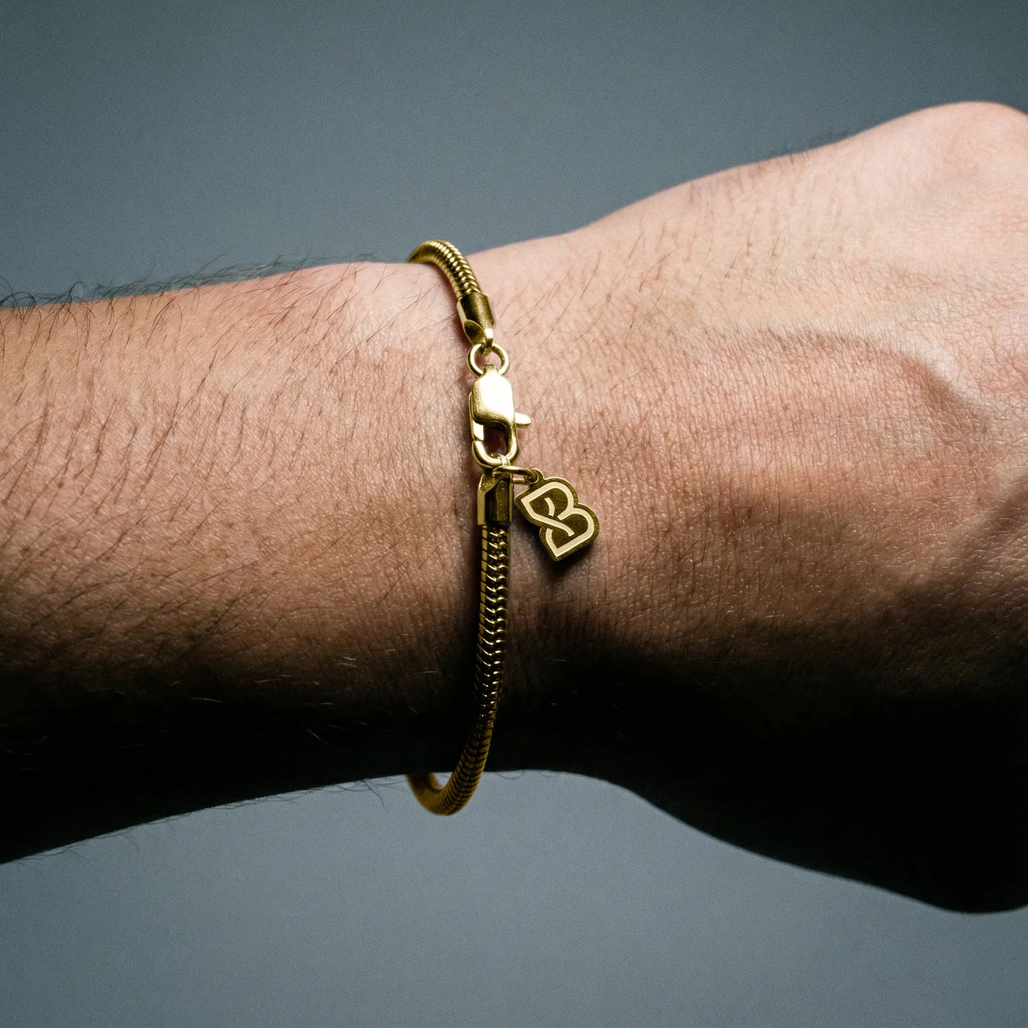Snake Bracelet (Gold)